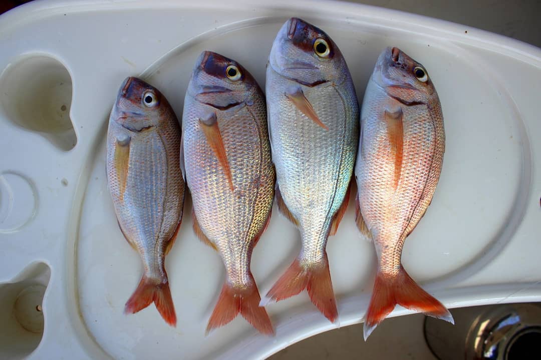 Экскурсии ginza travel