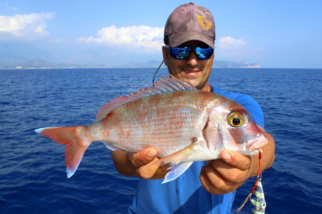 Экскурсии ginza travel