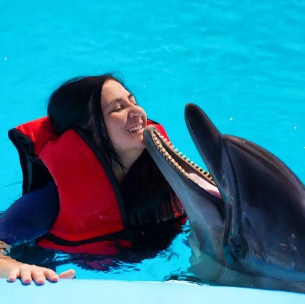 Экскурсии ginza travel