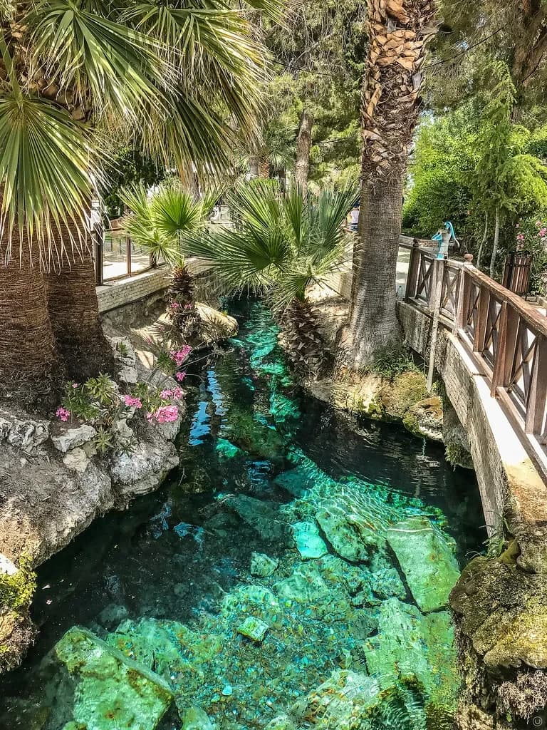 Экскурсии ginza travel