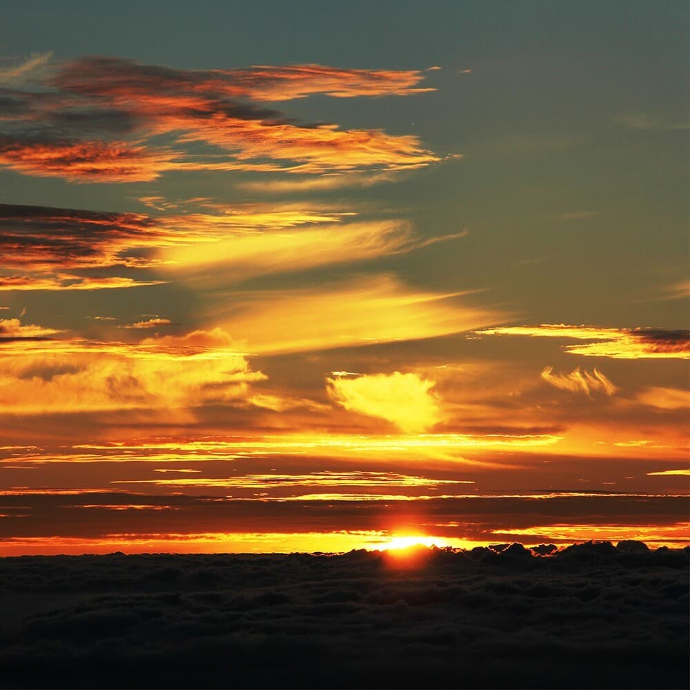 Экскурсии ginza travel