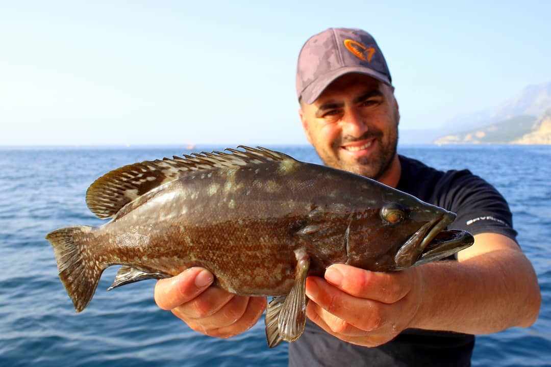 Экскурсии ginza travel