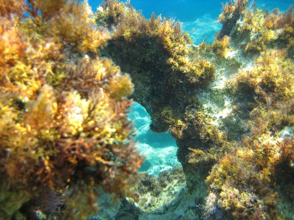 Экскурсии ginza travel