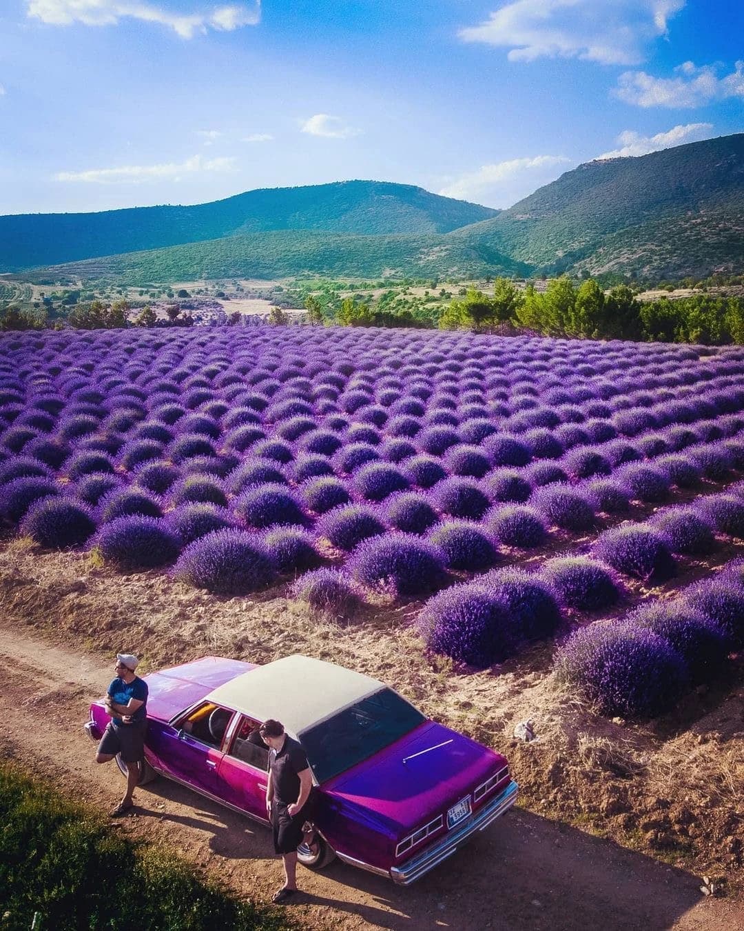 Экскурсии ginza travel