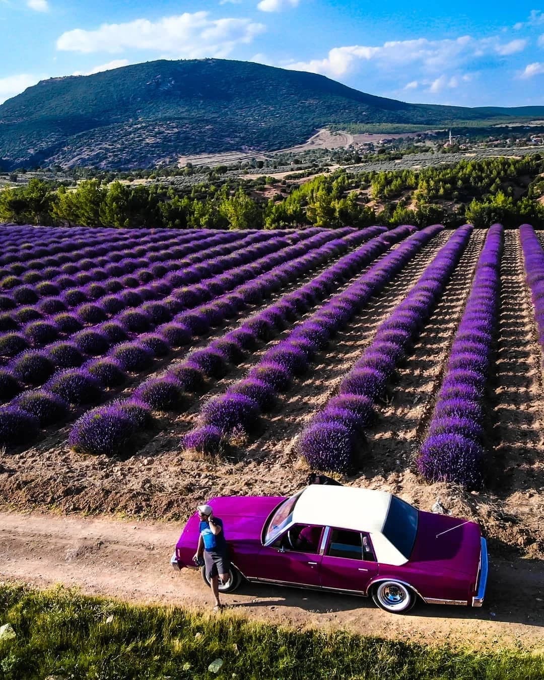 Экскурсии ginza travel