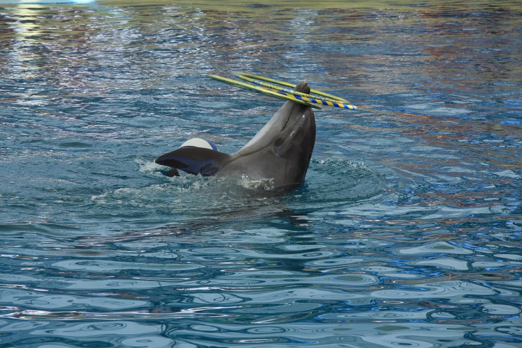 Экскурсии ginza travel