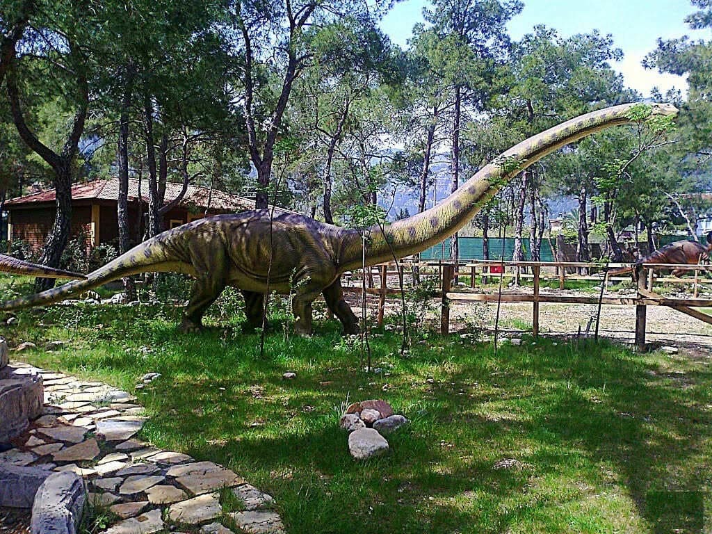 Экскурсии ginza travel