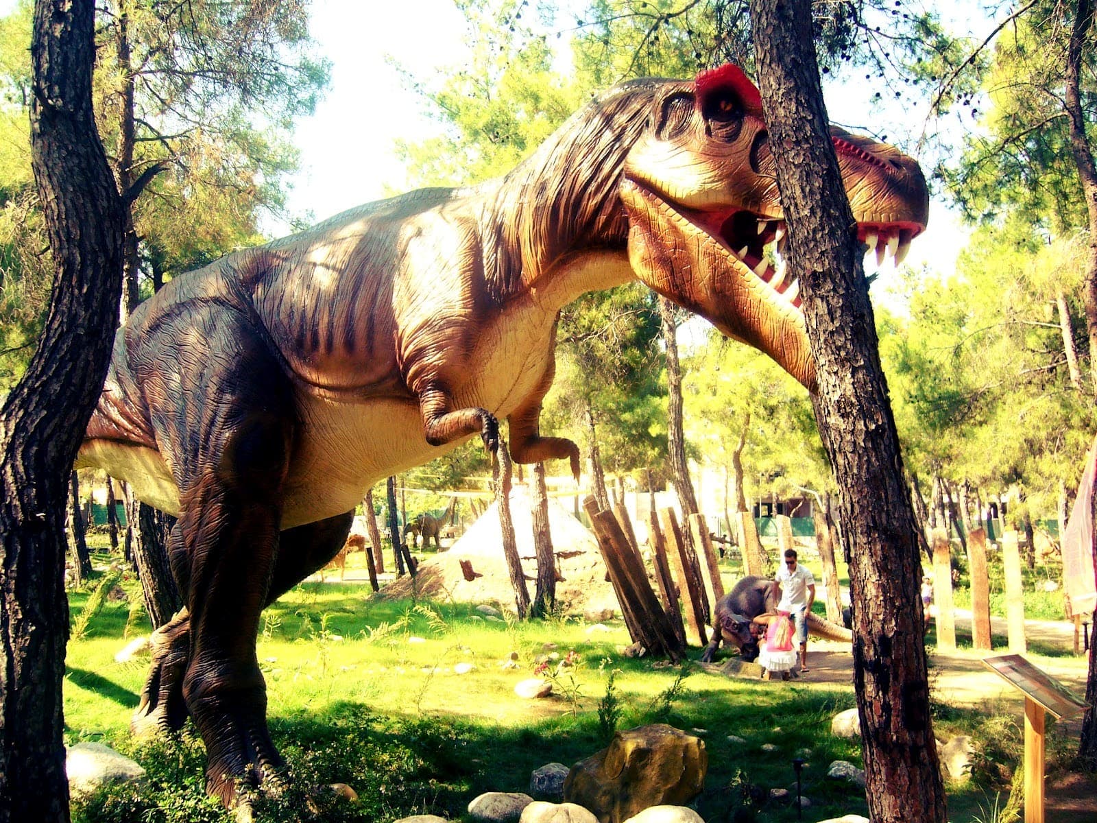 Экскурсии ginza travel