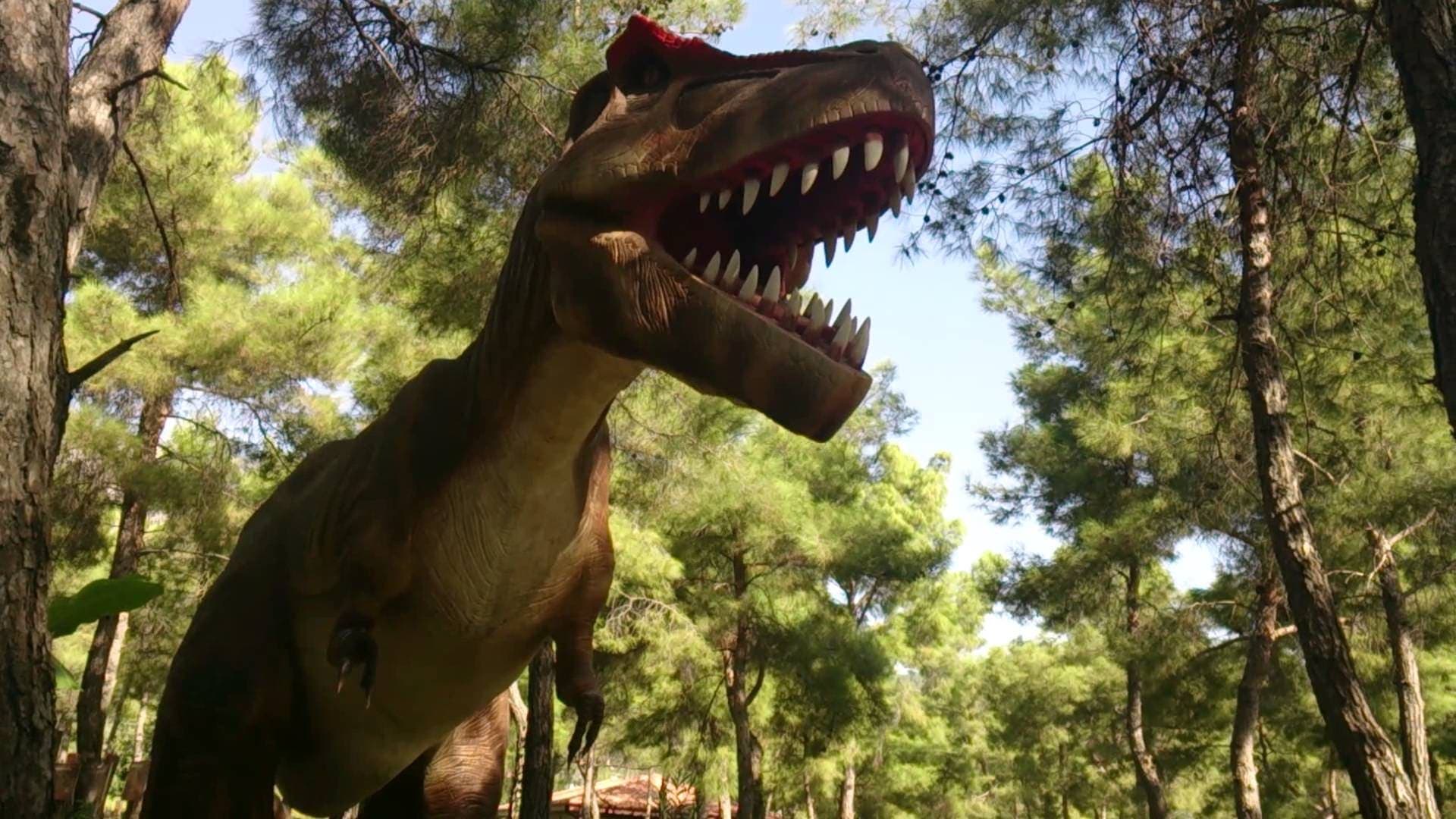 Экскурсии ginza travel