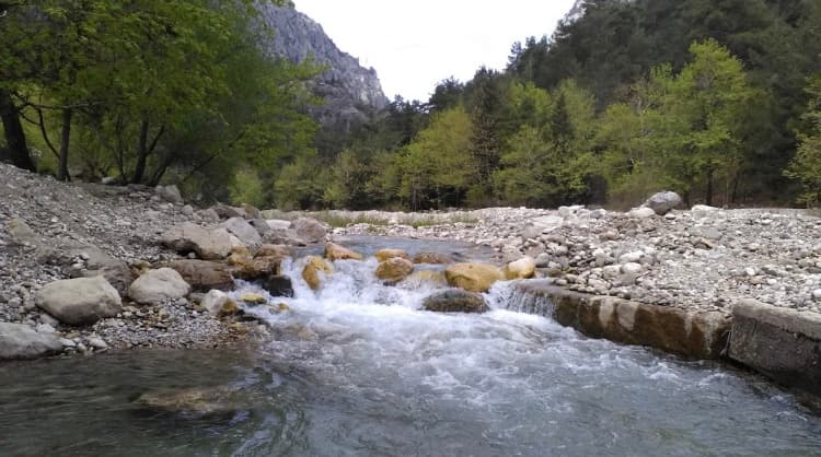 Экскурсии ginza travel