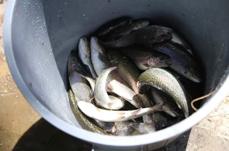 Экскурсии ginza travel