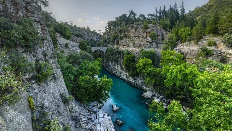 Экскурсии ginza travel