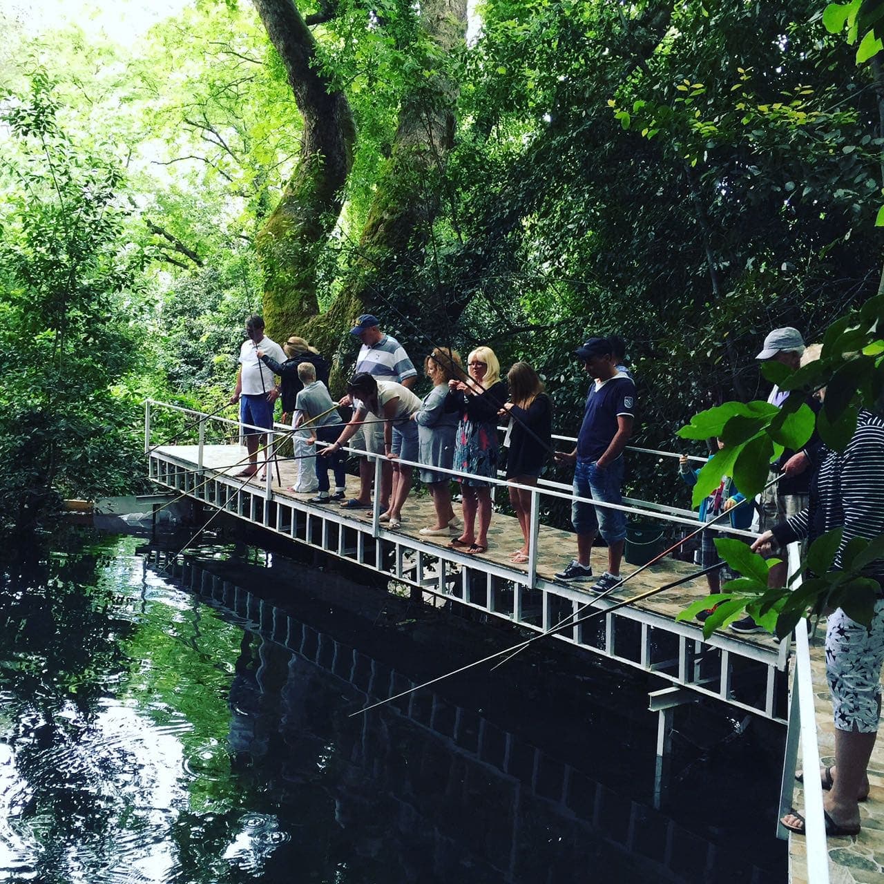 Экскурсии ginza travel